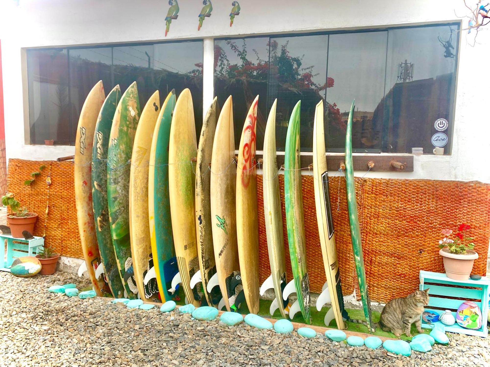 Surf House Chicama Hotel Пуерто Чикама Екстериор снимка