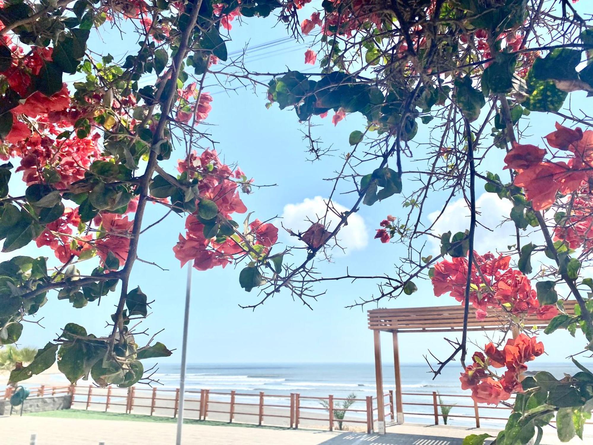 Surf House Chicama Hotel Пуерто Чикама Екстериор снимка