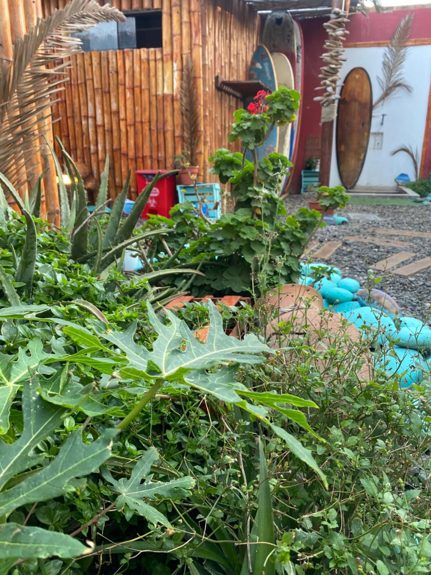 Surf House Chicama Hotel Пуерто Чикама Екстериор снимка
